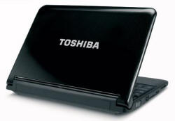 Toshiba Mini NB-305 netbook computer