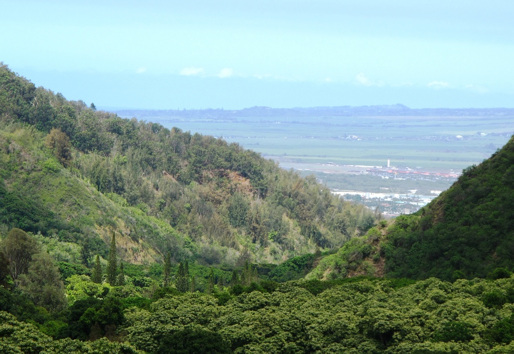 View of Maui from Iao Valley.