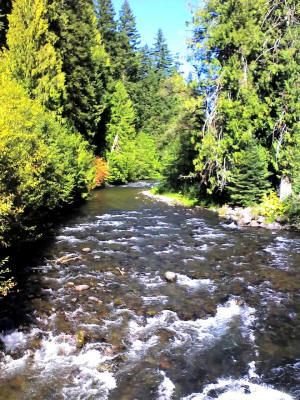 North branch of the Umpqua River. There be hot springs here!
