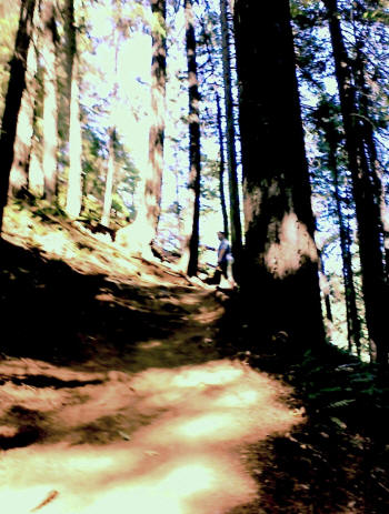 There's a long, long trail a-rising.