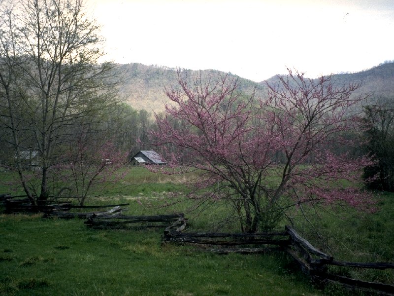 Model 1800's Farm