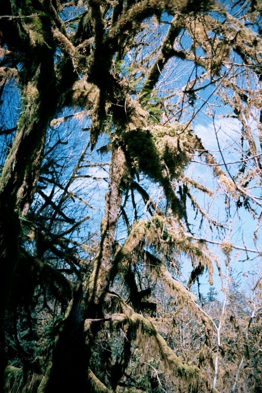 Considering it is a rain forest, we were lucky to have sun and a blue sky for our visit