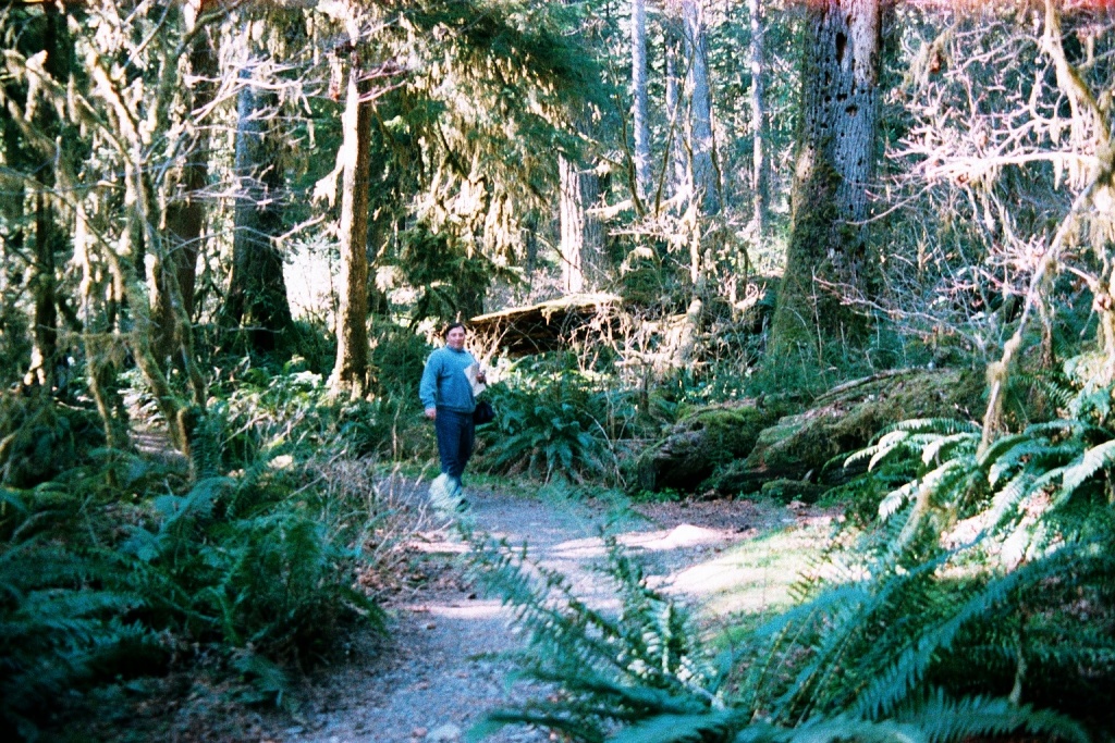 Michael looks for dinosaurs