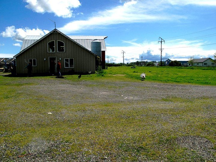 Funland Farm