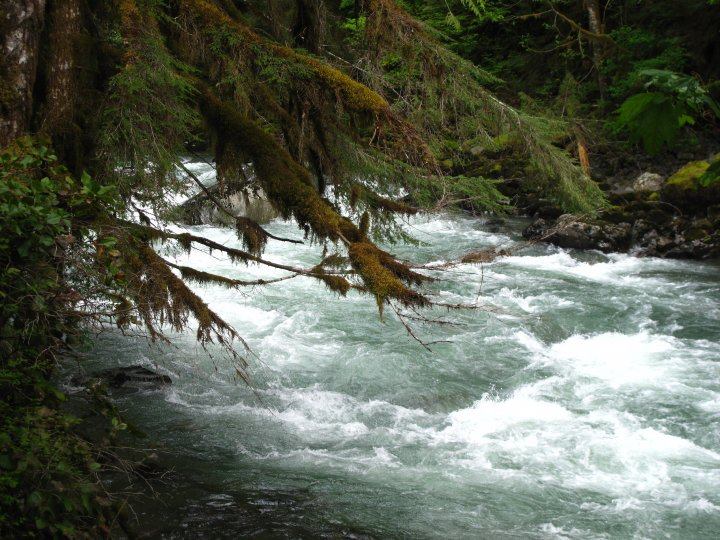 Glacier Creek