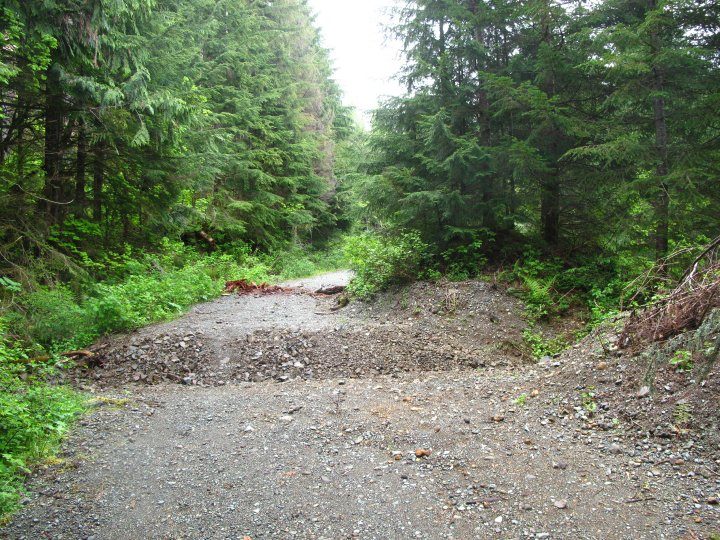 Hiking trail in the North Cascades.