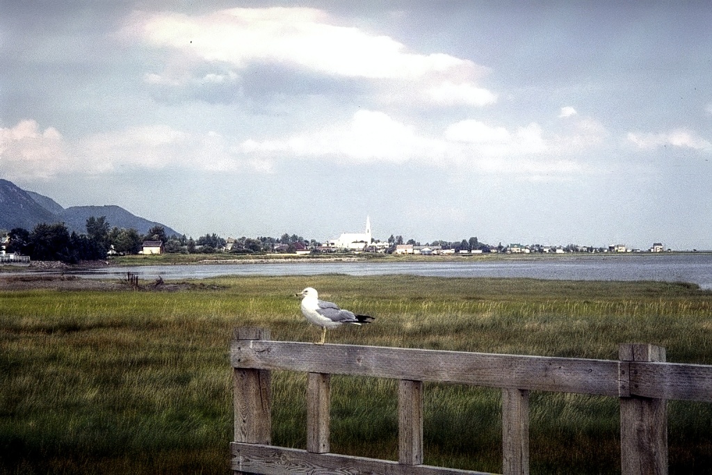 A quaint village on the peninsula.