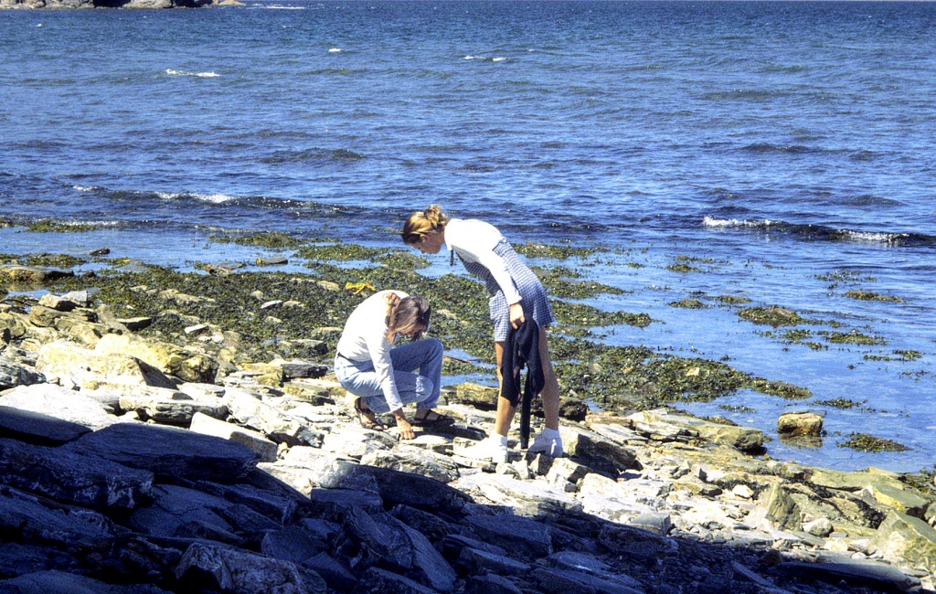 Mary and Karen find a shell on the beach.